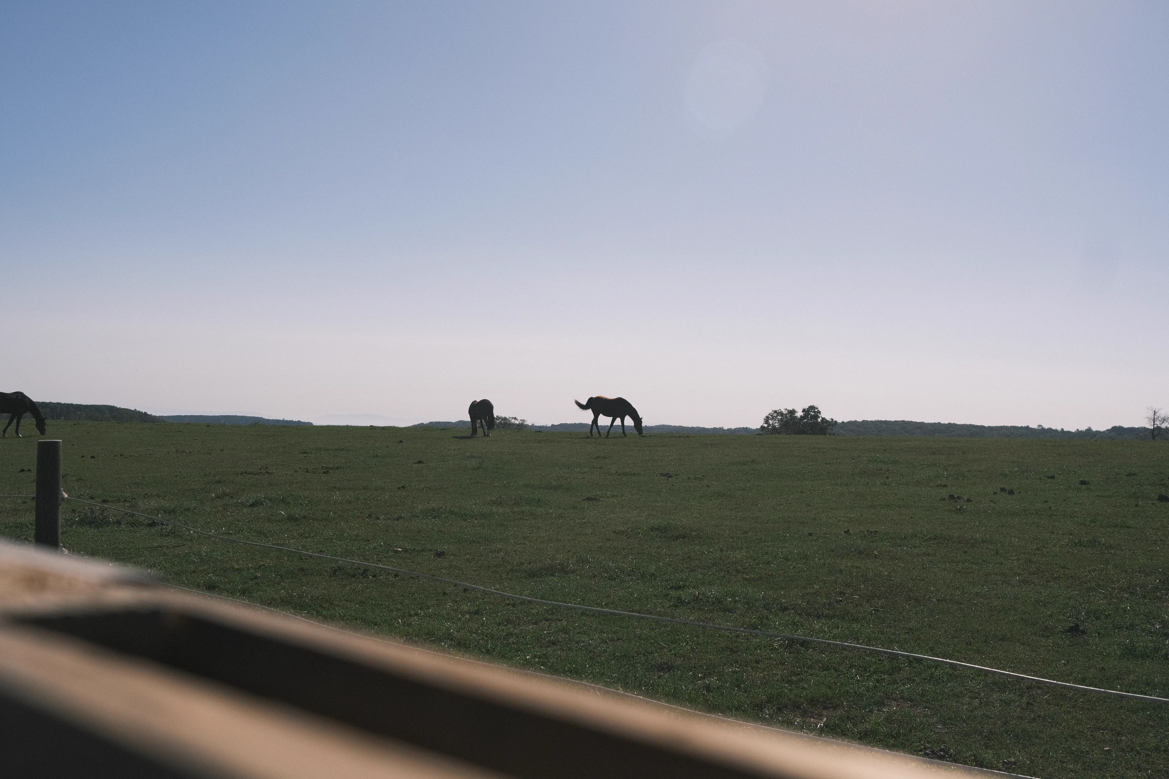 Edge Of The Mountain